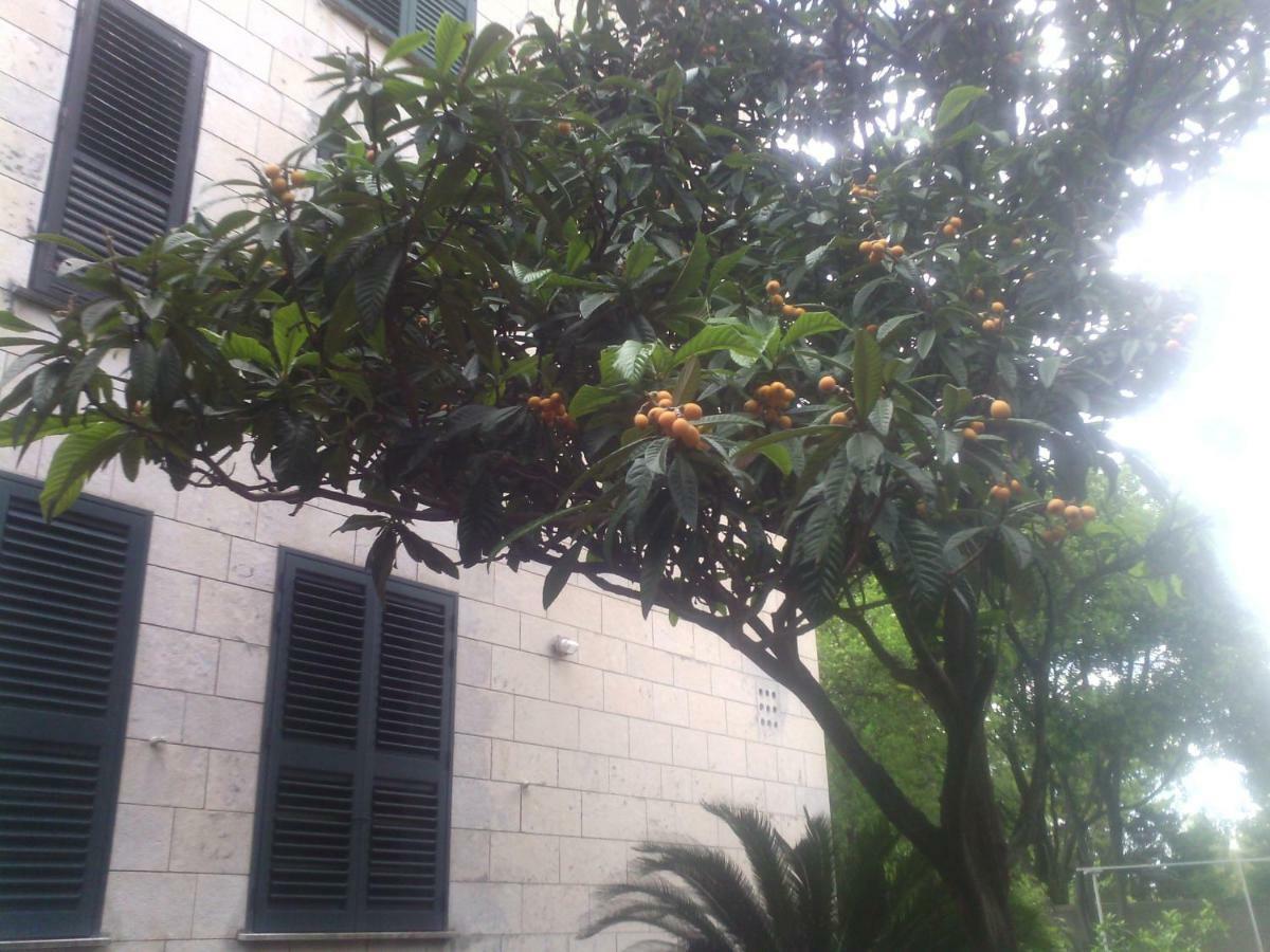 La Mia Apartment 杜布罗夫尼克 外观 照片